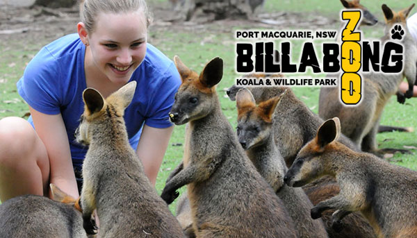 billabong_zoo billabong_zoo